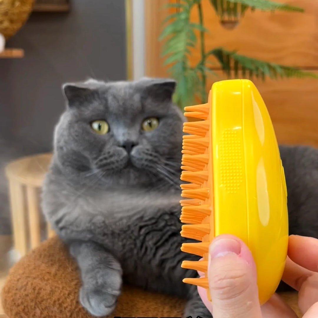 Cat brush with steam function | Bowlift