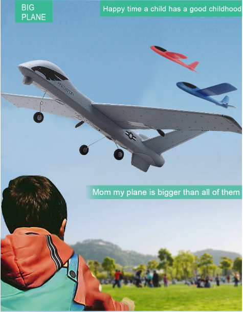 BowLift | RC Plane | Remote Control Plane Predator Z51