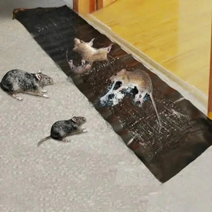 BowLift | Mouse Glue Trap with Extra Adhesion for Relaxed Living Feel