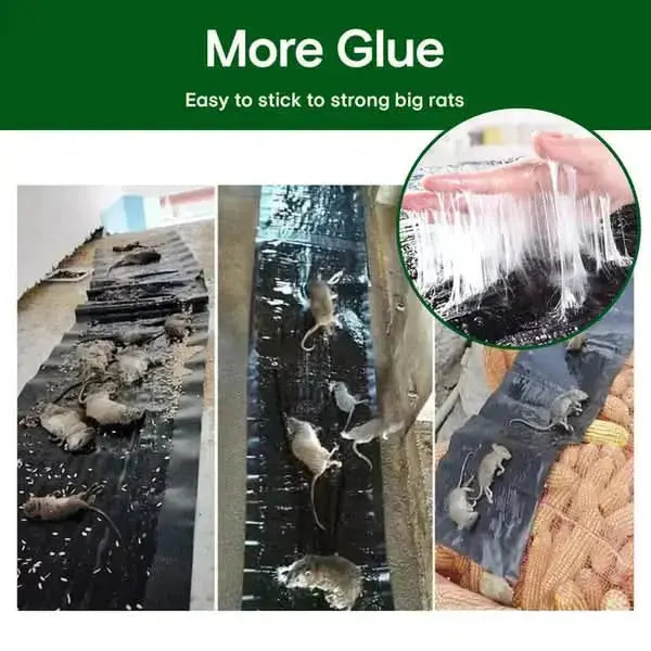 BowLift | Mouse Glue Trap with Extra Adhesion for Relaxed Living Feel