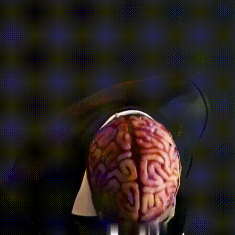 BowLift | Skull Mask with Brain Detail