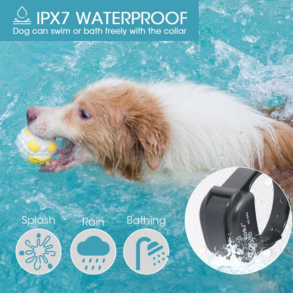BowLift | Invisible Electronic Fence for Dogs and Cats
