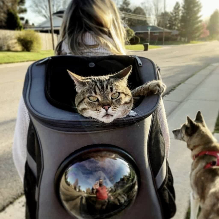 BowLift | PurrVenture Backpack – Portable Pet Carrier for Cats and Small Pets