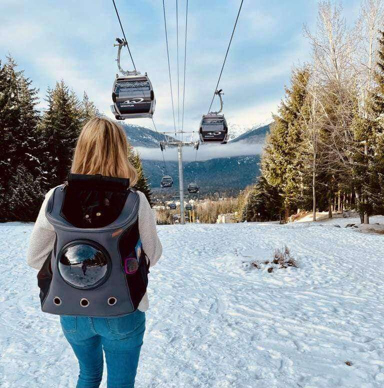 BowLift | PurrVenture Backpack – Portable Pet Carrier for Cats and Small Pets