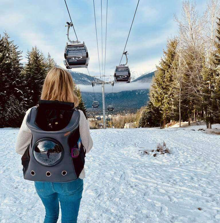 BowLift | PurrVenture Backpack – Portable Pet Carrier for Cats and Small Pets