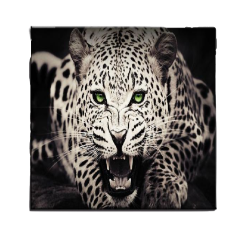 Ferocious Green Eyed Leopard - Canvas Wall Art Painting | Bowlift