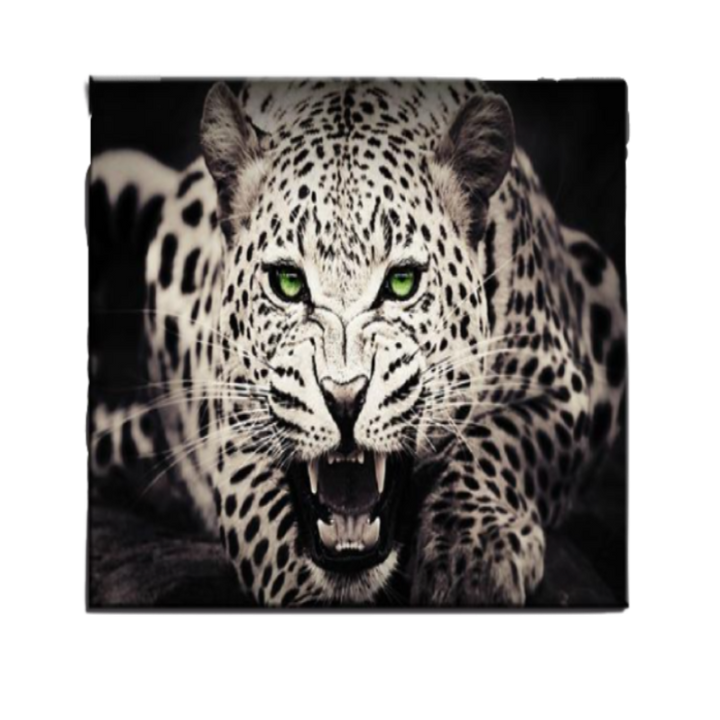 Ferocious Green Eyed Leopard - Canvas Wall Art Painting | Bowlift