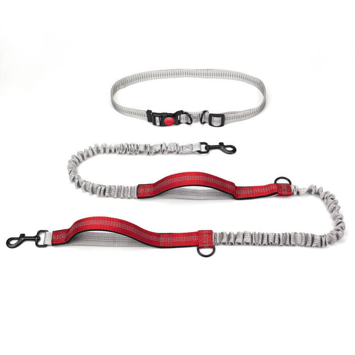 BowLift | Telescopic Double Handle Multifunctional Dog Leash