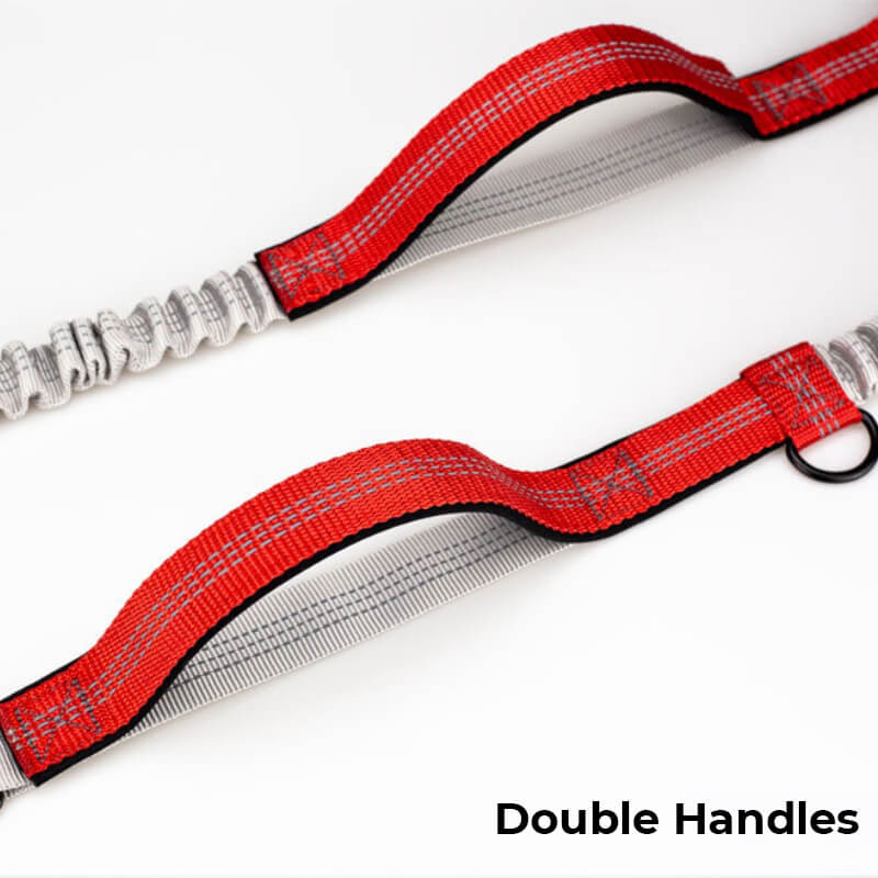 BowLift | Telescopic Double Grip Multifunctional Dog Leash