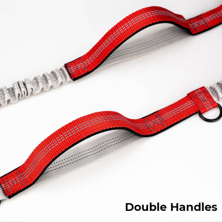 BowLift | Telescopic Double Grip Multifunctional Dog Leash