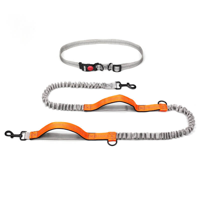 BowLift | Telescopic Double Handle Multifunctional Dog Leash