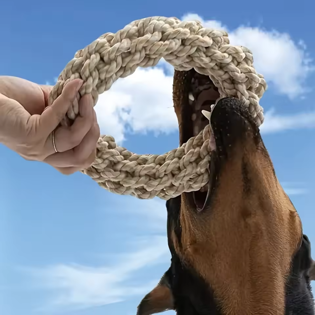 Robust cotton chew ring for dogs Bowlift
