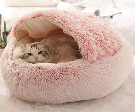BowLift | Soft Luxury Basket for Cats & Small Dogs