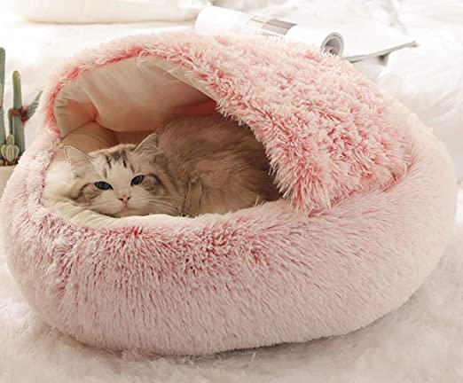Luxury Basket for Cats and Dogs Bowlift