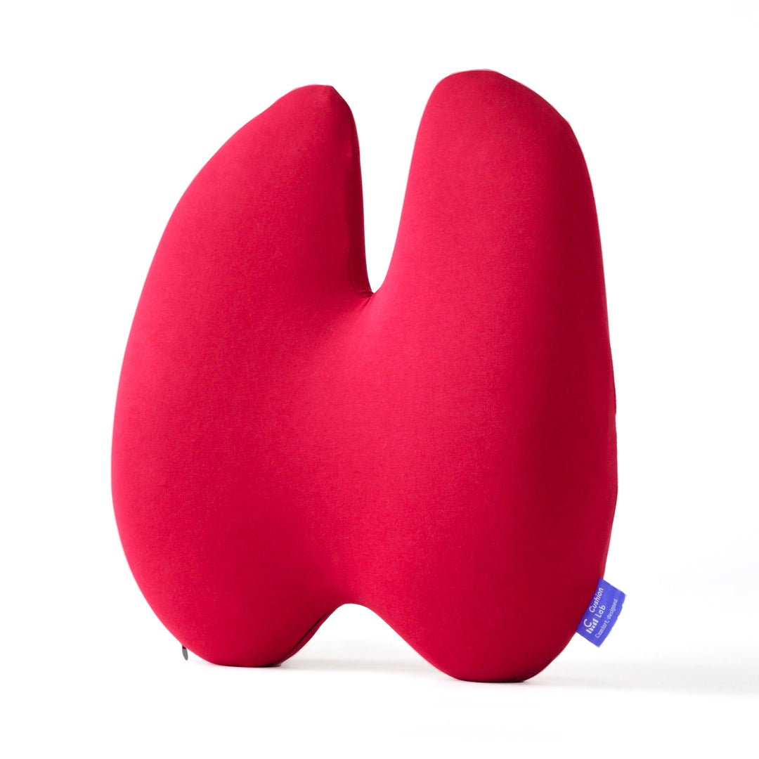 Lumbar Pain Cushion | Bowlift