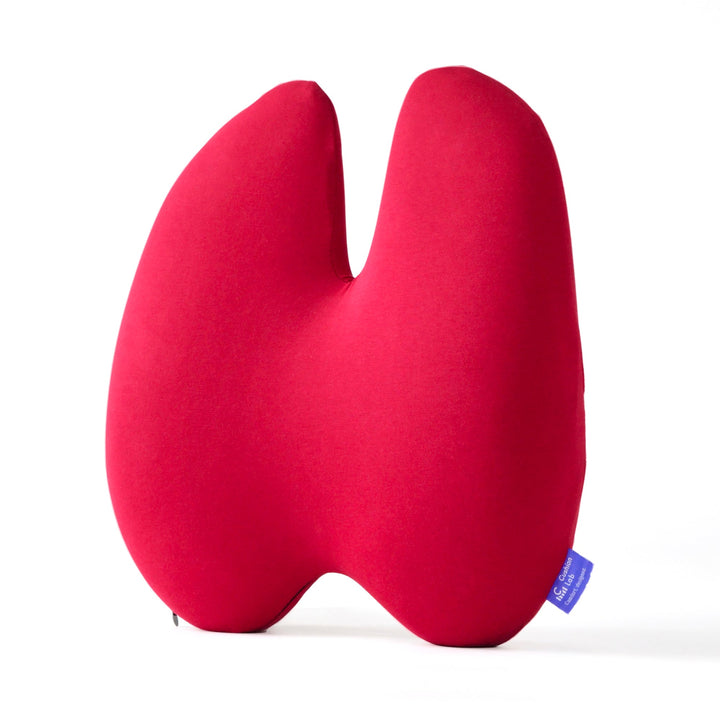Lumbar Pain Cushion | Bowlift