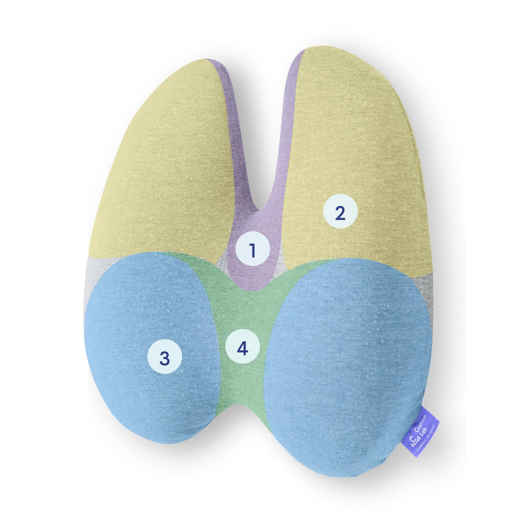 Lumbar Pain Cushion | Bowlift