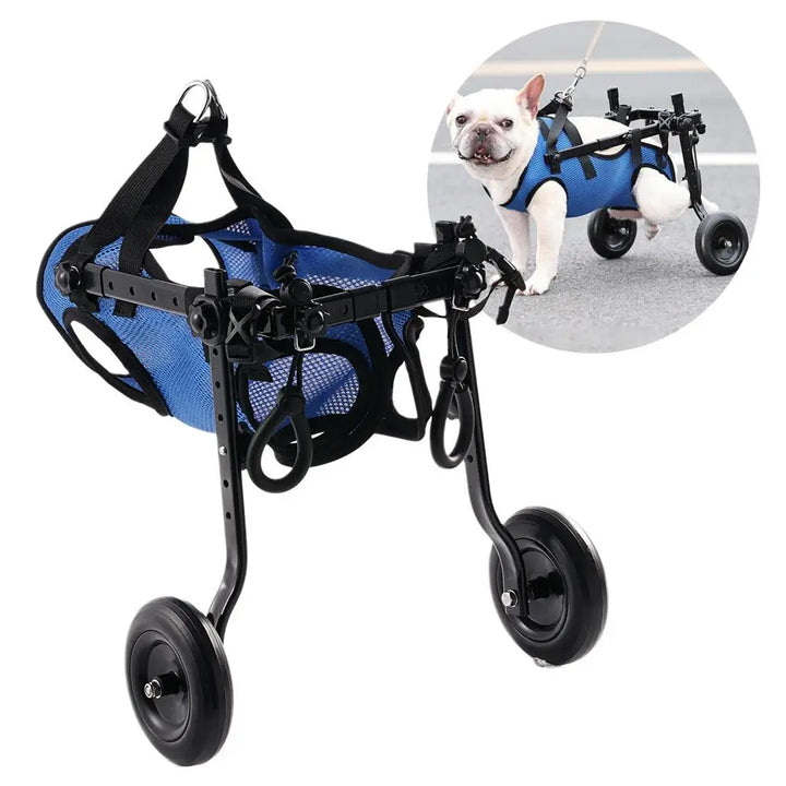 BowLift | Vetalino Dog Wheelchair for Small Dogs | Adjustable Rehab Cart | Lightweight & Stable | Mobility Aid for Walking Problems