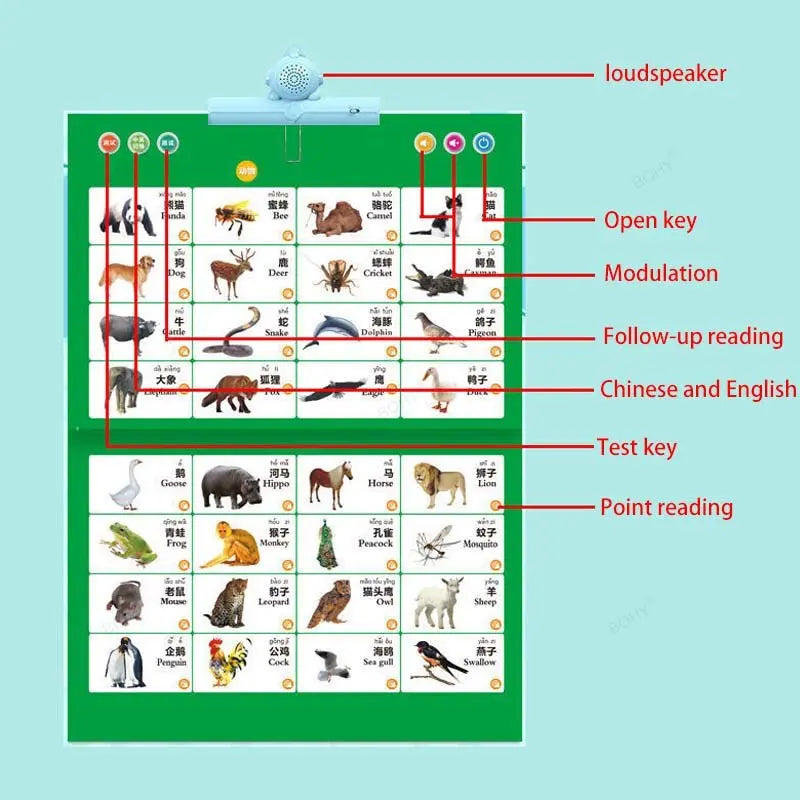 BowLift | Kids Learning Point & Play Audio Book