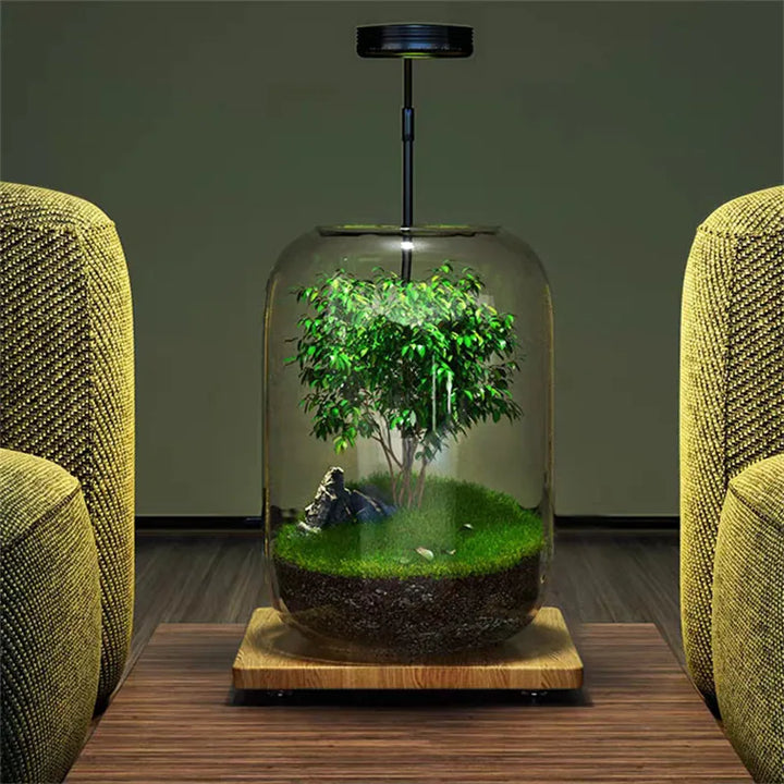 Micro Landscape Green Oasis Glass Vase | Bowlift