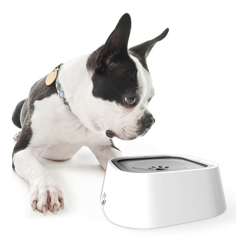 BowLift | DrinkGuard - Smart Water Bowl for Dogs