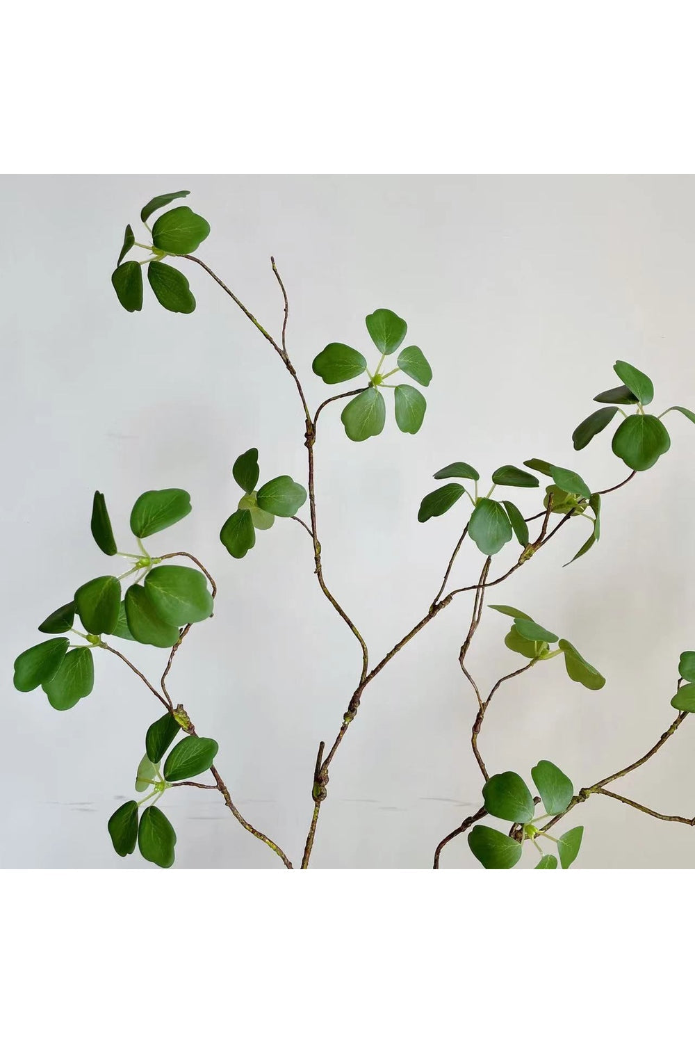 Style Green Leaf Ivy | Bowlift