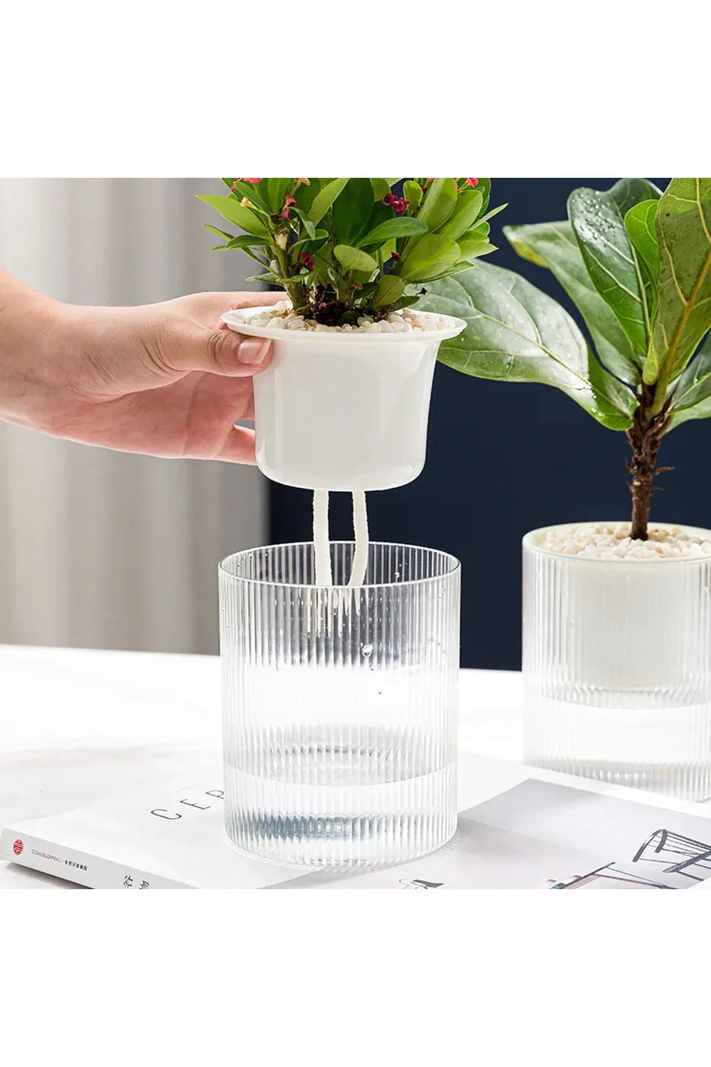 Fish tank plants pot | Bowlift