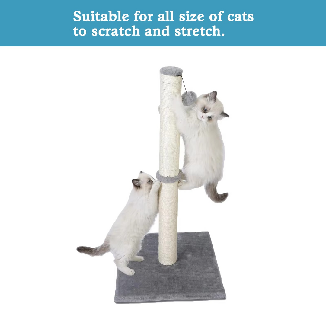 BowLift | Tall Sisal Cat Scratching Post with Dangling Ball for Indoor Cats and Kittens