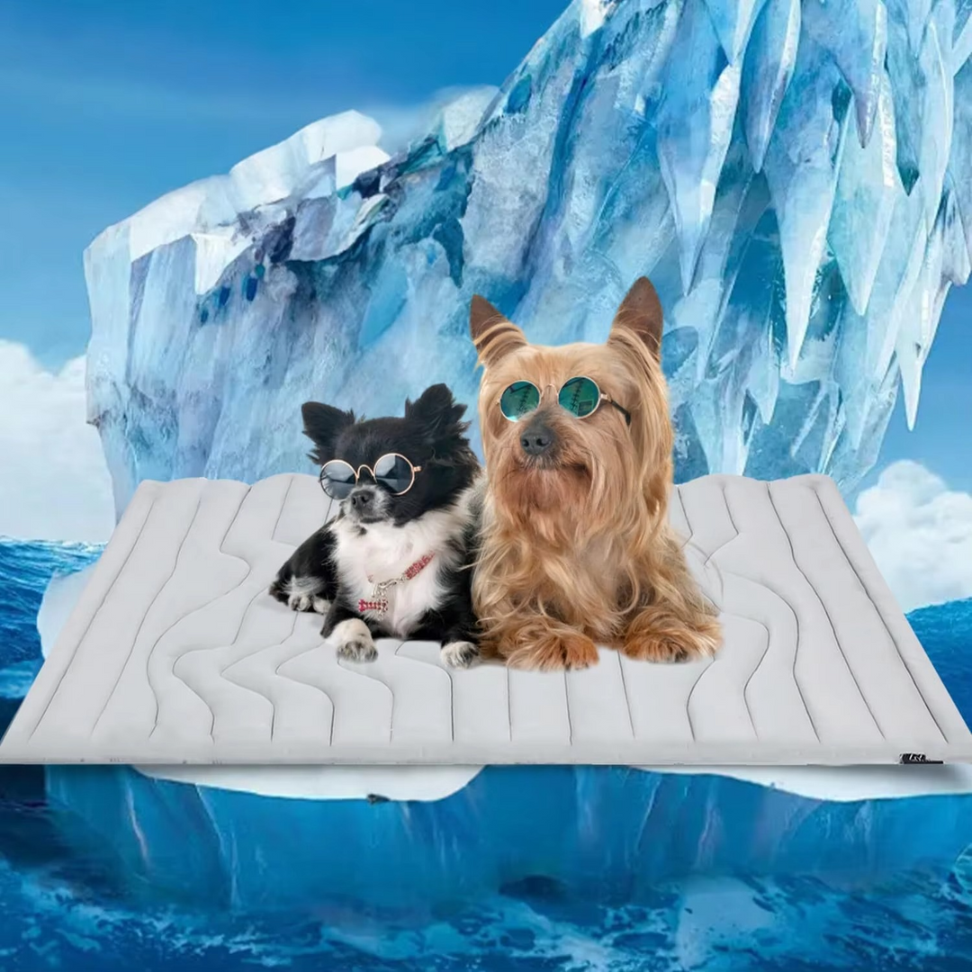 BowLift | Ultimate Cooling Pet Mat for Cats & Dogs - Comfortable & Durable Sleeping Pad