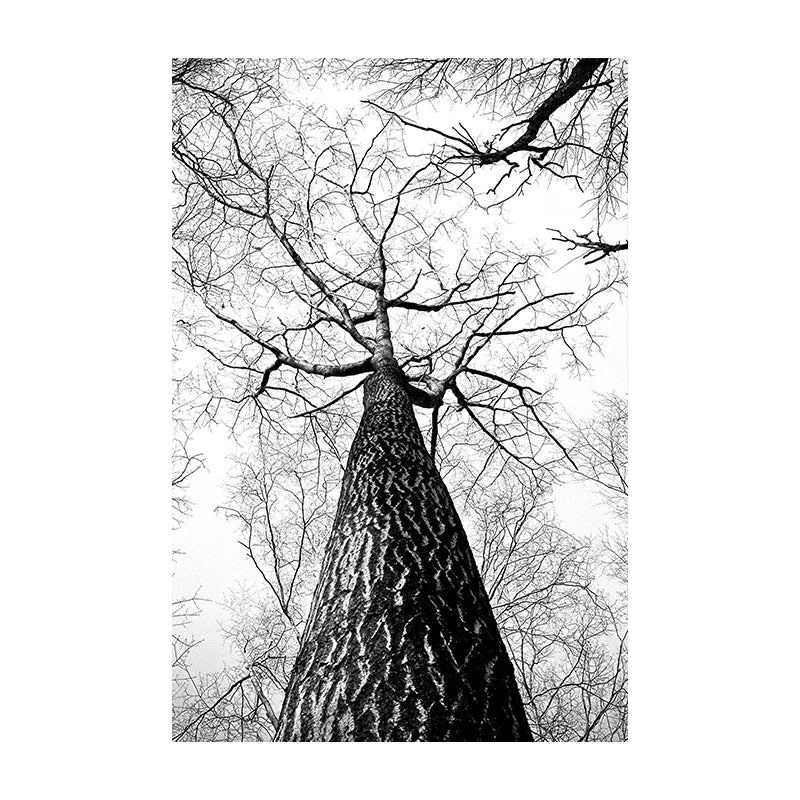 Northern Wilderness Eagle Deer Landscape Wall Art Fine Art Canvas Prints Pictures For Living Room Dining Room Nordic Home Decor | Bowlift
