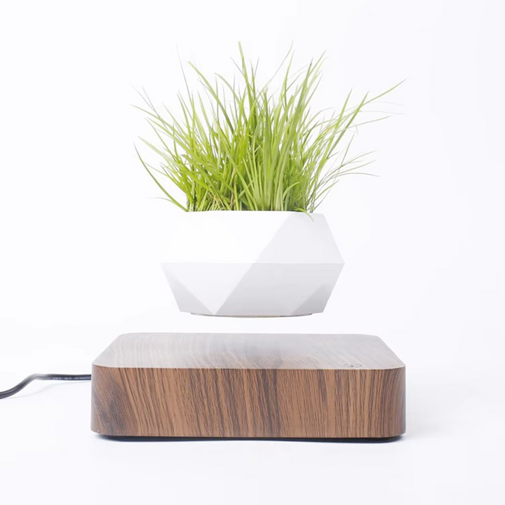 BowLift | Magnetic Levitating Bonsai Planter, Floating Flower Pot for Home and Office Décor