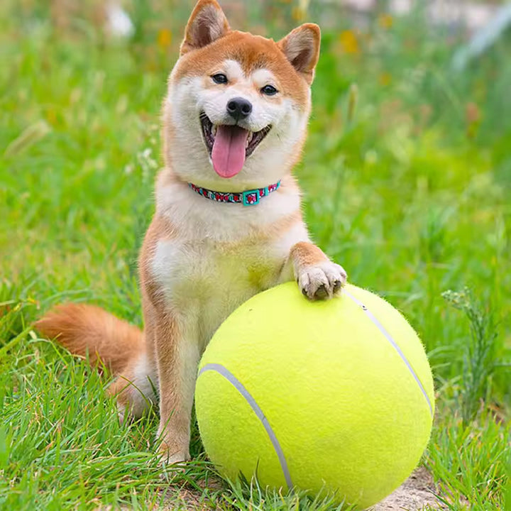 Extra large tennis ball for dogs Bowlift