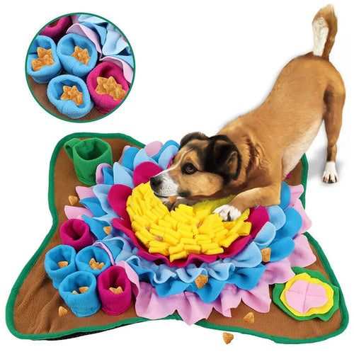 ScentQuest Interactive Sniffing Mat – SniffMaster Bowlift