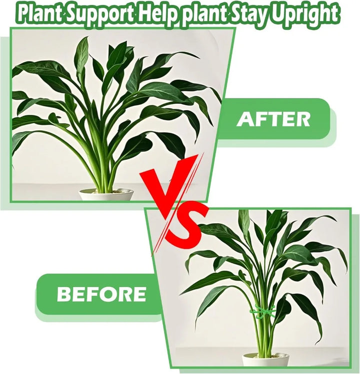 BowLift | Plant Stem Support Frame