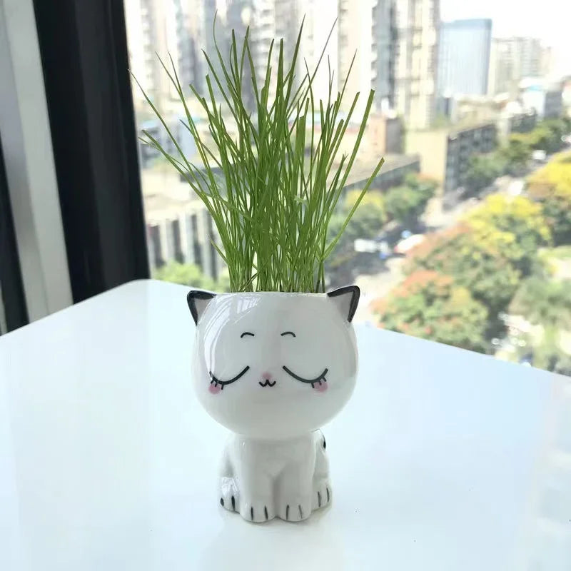 BowLift | PurrPlant Mini Ceramic Pot | Cute Cat Design | For Desk & Decor