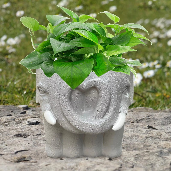 BowLift | Adorable Cartoon-Styled Mini Plant Pot for Decorative Display
