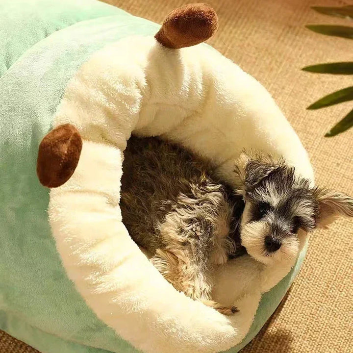 BowLift | Winter Cuddles for Your Dog