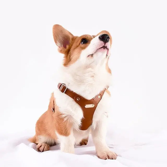 Adjustable Leather Dog Harness with Custom Engraving Bowlift