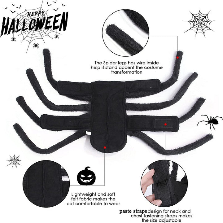 BowLift | Black Spider Pet Costume