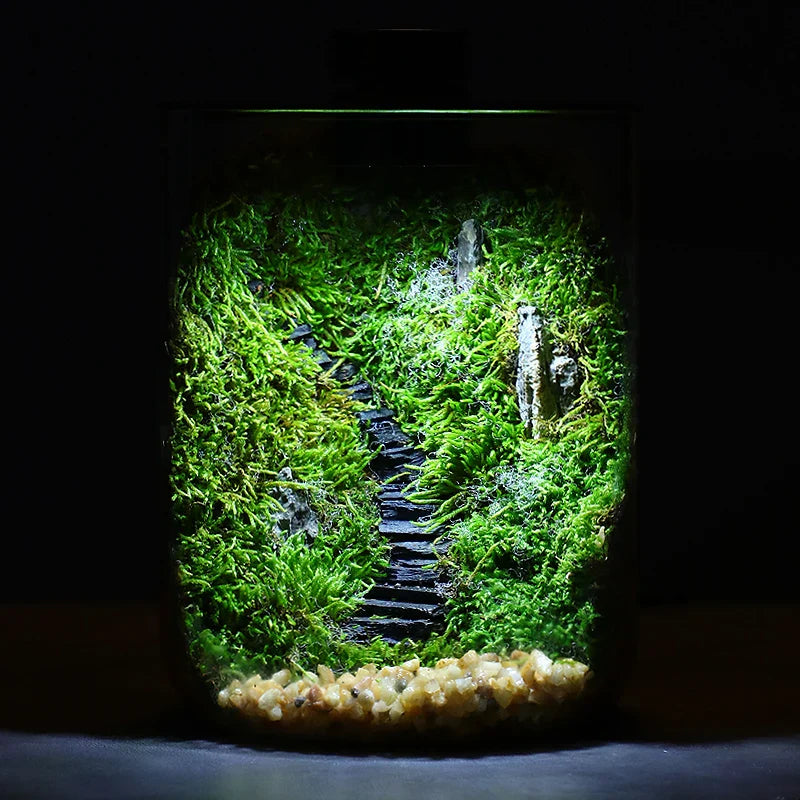 BowLift | Mini Forest Maker Terrarium Decor Vase