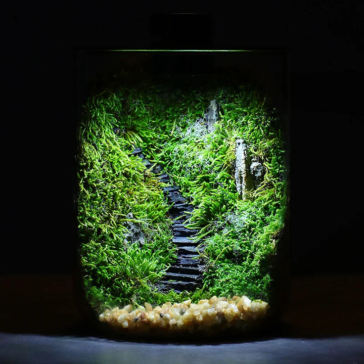 BowLift | Mini Forest Maker Terrarium Decor Vase