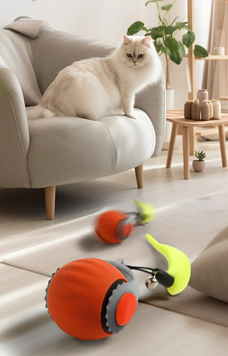 BowLift | Smart Cat Interactive Ball Toy