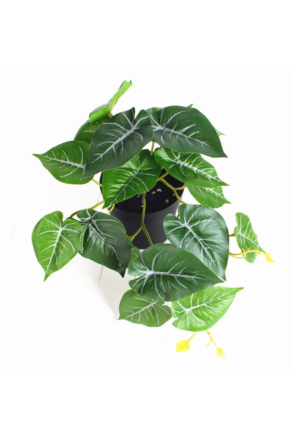green grapevine wall decoration | Bowlift