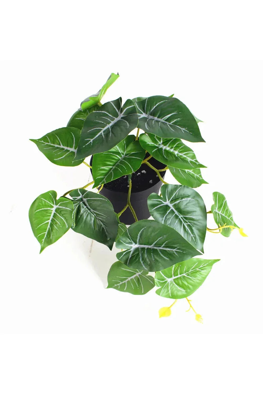 Green Artificial Plants | Bowlift