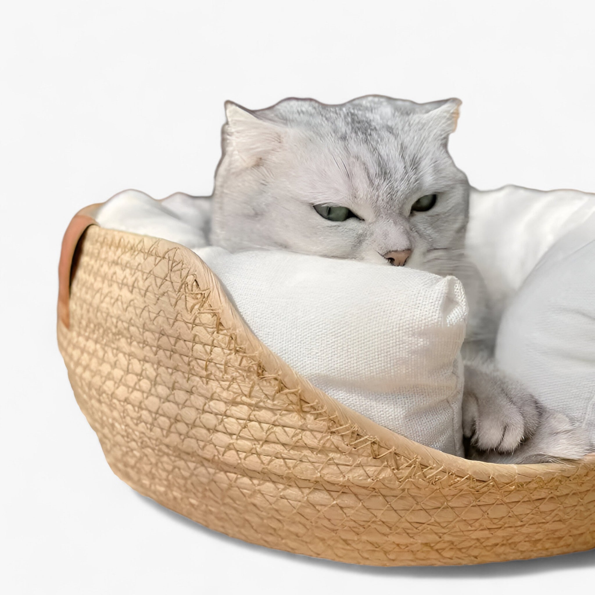 BowLift | Handwoven Bamboo Pet Bed with Soft Cushion – Luna Nest