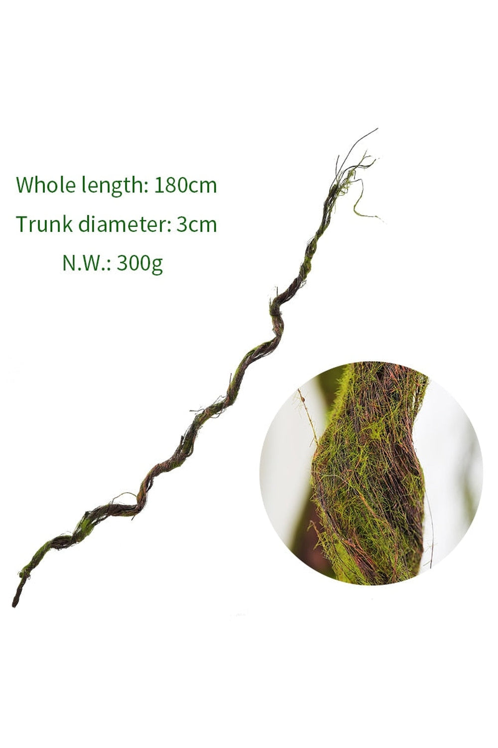 Tree branch grapes decor | Bowlift