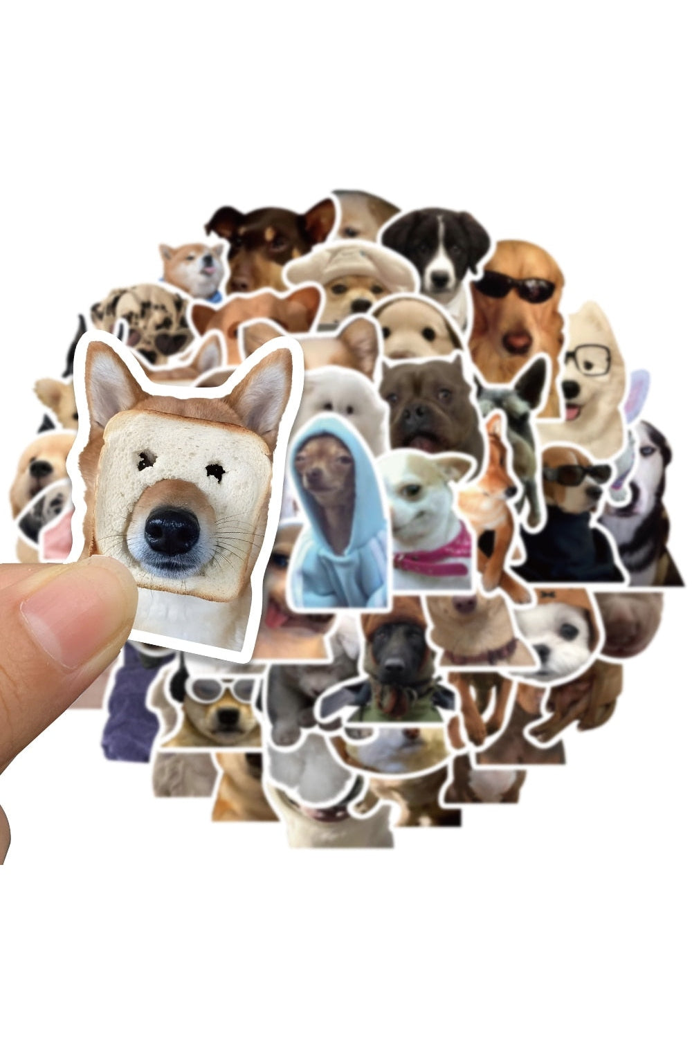Cat Meme Funny Stickers 10/30/50/100 Pieces | Bowlift