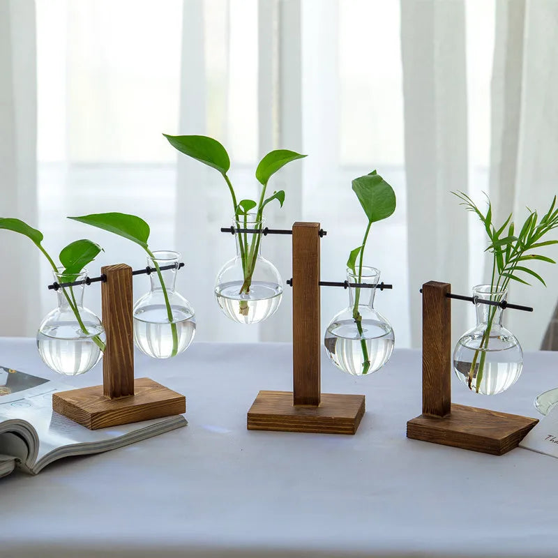BowLift | Vasoya Glass Vases | 3-Piece Set with Wooden Frame | Scandinavian & Versatile | For Flowers & Hydroponics