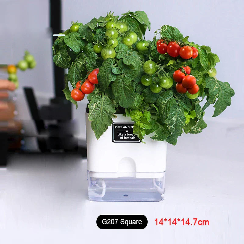 BowLift | HydroLino Flower Pot | Self-Watering | Compact & Transparent | For Indoor Use