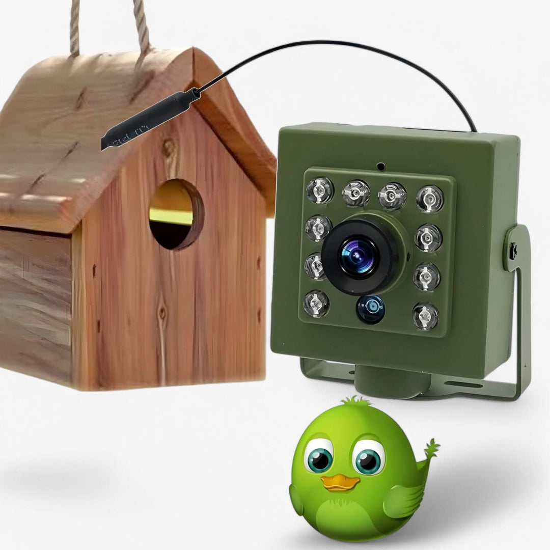 BowLift | 1080p HD & weatherproof for impressive birdwatching